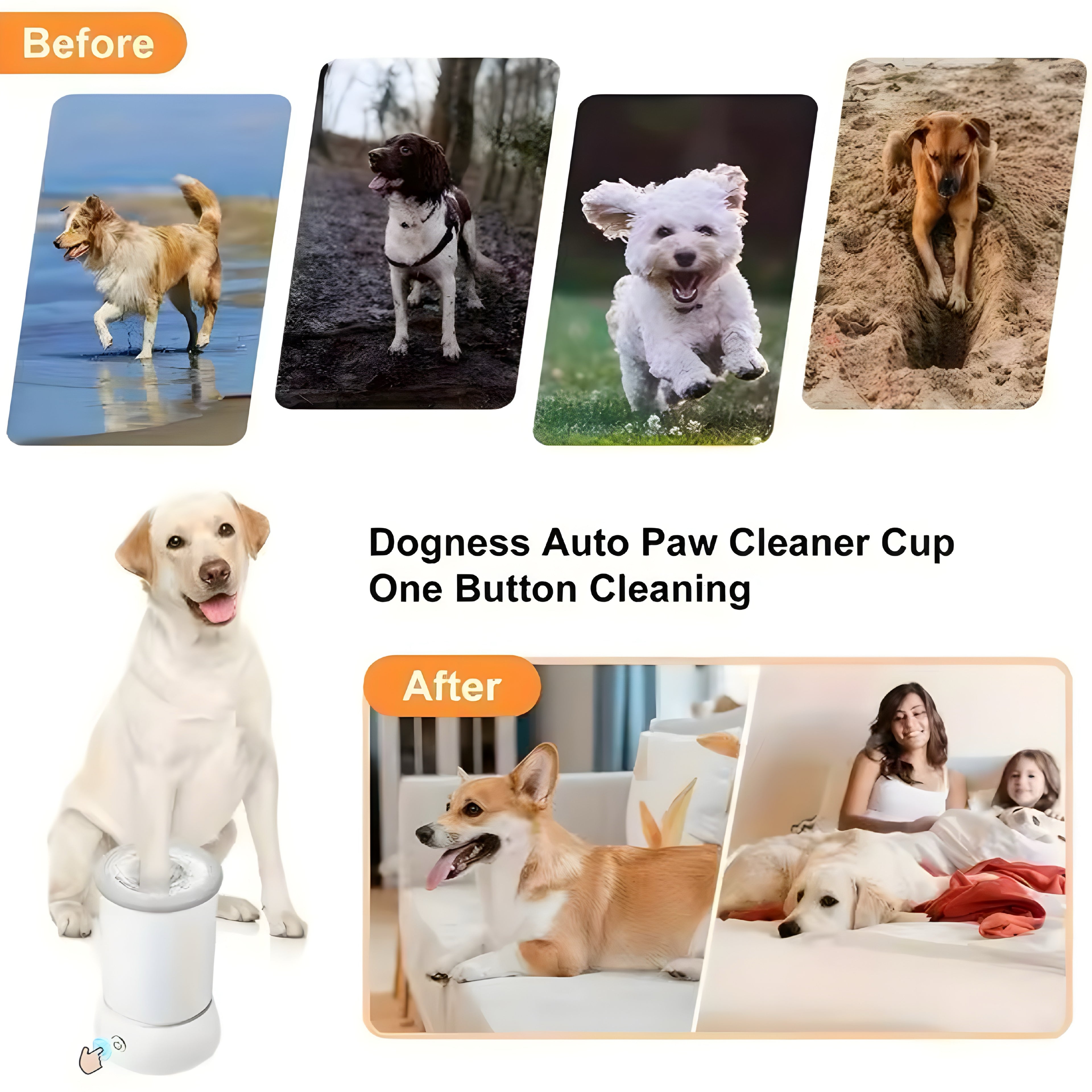 Lave-pattes automatique pour chien et chat – nettoyage rapide et portable