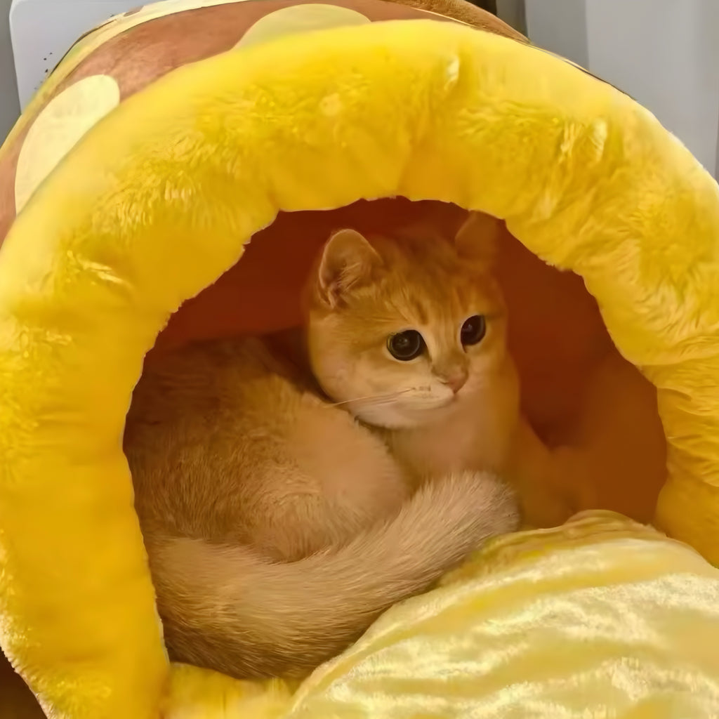 Panier pour chat pot de miel – lit douillet et design mignon
