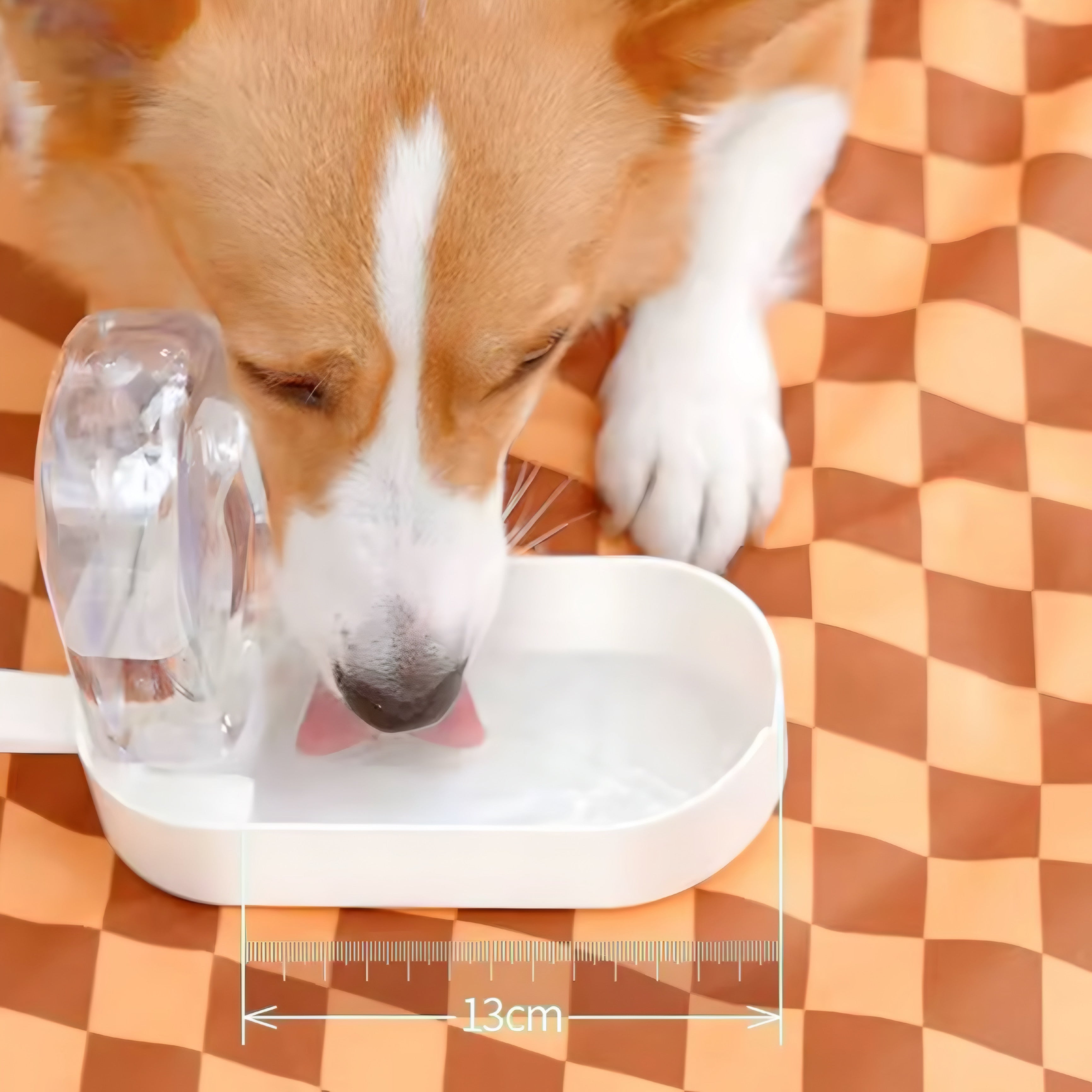 Gourde portable pour chien et chat avec bol intégré – anti-fuite voyage